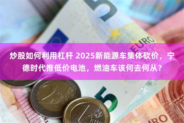 炒股如何利用杠杆 2025新能源车集体砍价，宁德时代推低价电池，燃油车该何去何从？