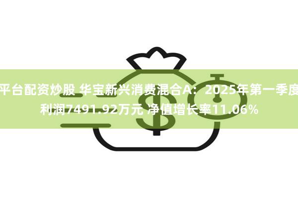 平台配资炒股 华宝新兴消费混合A：2025年第一季度利润7491.92万元 净值增长率11.06%