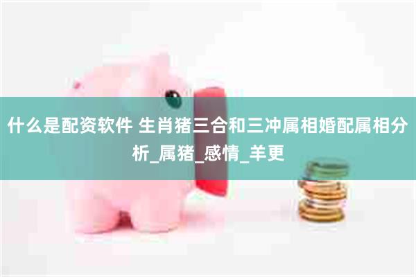 什么是配资软件 生肖猪三合和三冲属相婚配属相分析_属猪_感情_羊更