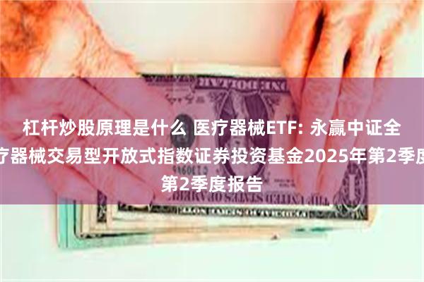 杠杆炒股原理是什么 医疗器械ETF: 永赢中证全指医疗器械交易型开放式指数证券投资基金2025年第2季度报告