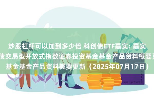 炒股杠杆可以加到多少倍 科创债ETF嘉实: 嘉实中证AAA科技创新公司债交易型开放式指数证券投资基金基金产品资料概要更新（2025年07月17日）