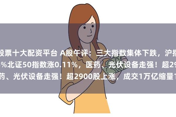 股票十大配资平台 A股午评：三大指数集体下跌，沪指跌0.19%创指跌0.16%北证50指数涨0.11%，医药、光伏设备走强！超2900股上涨，成交1万亿缩量1497亿