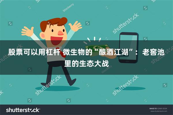 股票可以用杠杆 微生物的“酿酒江湖”：老窖池里的生态大战