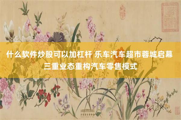 什么软件炒股可以加杠杆 乐车汽车超市蓉城启幕 三重业态重构汽车零售模式