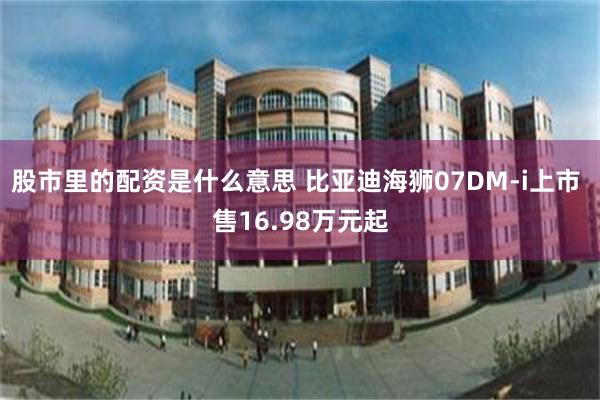 股市里的配资是什么意思 比亚迪海狮07DM-i上市 售16.98万元起