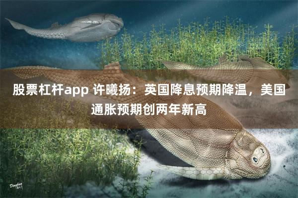 股票杠杆app 许曦扬：英国降息预期降温，美国通胀预期创两年新高