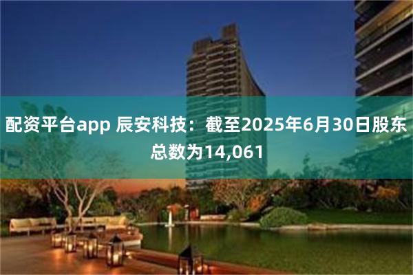 配资平台app 辰安科技：截至2025年6月30日股东总数为14,061