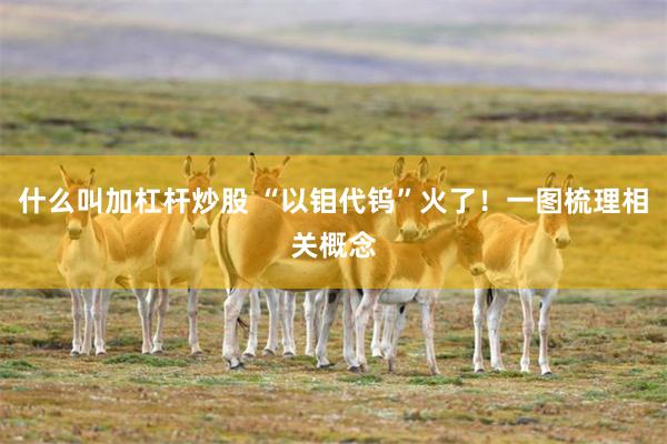 什么叫加杠杆炒股 “以钼代钨”火了！一图梳理相关概念