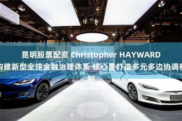 昆明股票配资 Christopher HAYWARD：构建新型全球金融治理体系 核心是打造多元多边协调机制