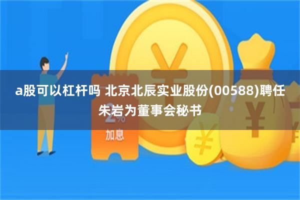a股可以杠杆吗 北京北辰实业股份(00588)聘任朱岩为董事会秘书