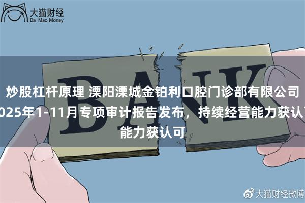 炒股杠杆原理 溧阳溧城金铂利口腔门诊部有限公司2025年1-11月专项审计报告发布，持续经营能力获认可
