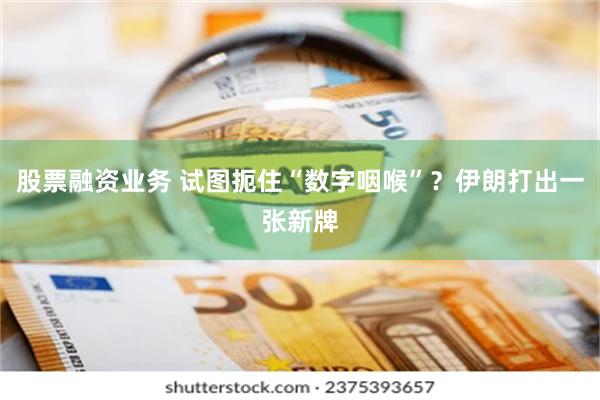 股票融资业务 试图扼住“数字咽喉”？伊朗打出一张新牌