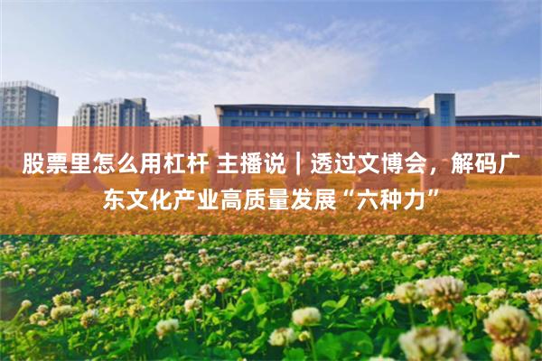 股票里怎么用杠杆 主播说|透过文博会,解码广东文化产业高质量发展“六种力”