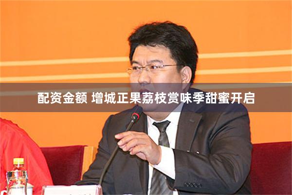 配资金额 增城正果荔枝赏味季甜蜜开启