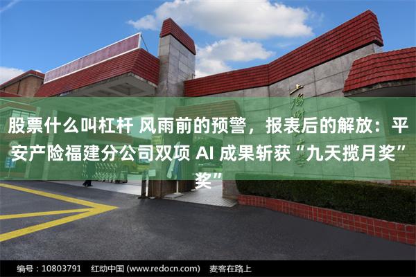 股票什么叫杠杆 风雨前的预警，报表后的解放：平安产险福建分公司双项 AI 成果斩获“九天揽月奖”