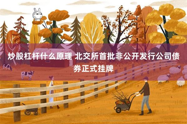 炒股杠杆什么原理 北交所首批非公开发行公司债券正式挂牌