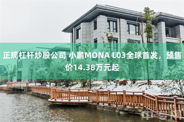 正规杠杆炒股公司 小鹏MONA L03全球首发，预售价14.38万元起