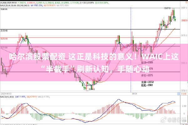 哈尔滨股票配资 这正是科技的意义！WAIC上这“半截手”刷新认知，手随心动