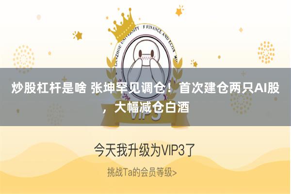 炒股杠杆是啥 张坤罕见调仓！首次建仓两只AI股，大幅减仓白酒
