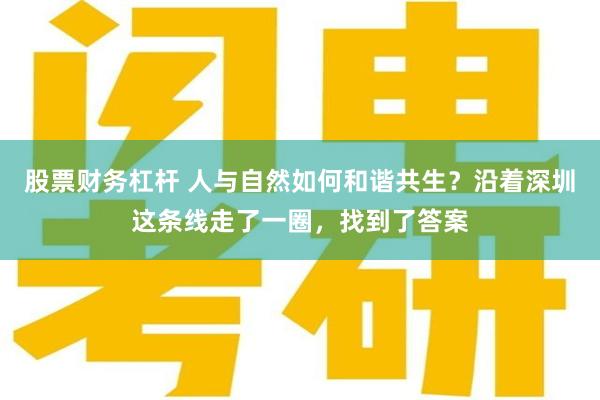 股票财务杠杆 人与自然如何和谐共生？沿着深圳这条线走了一圈，找到了答案