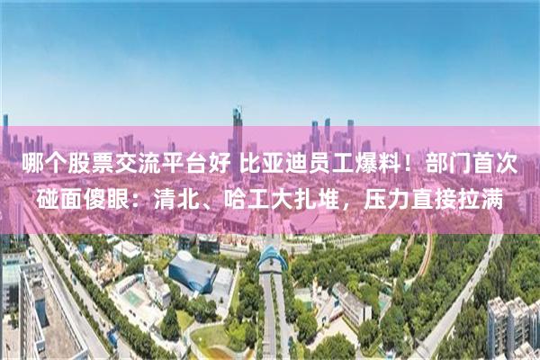 哪个股票交流平台好 比亚迪员工爆料!部门首次碰面傻眼:清北、哈工大扎堆,压力直接拉满