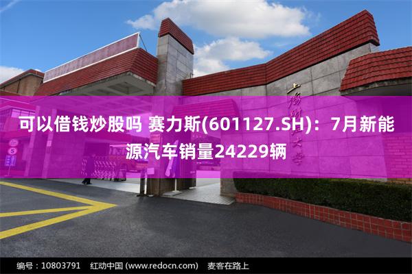 可以借钱炒股吗 赛力斯(601127.SH)：7月新能源汽车销量24229辆