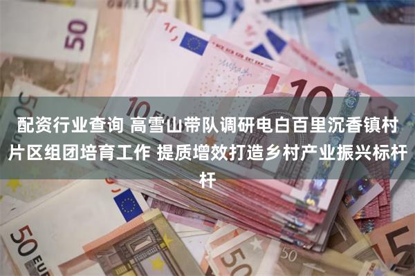 配资行业查询 高雪山带队调研电白百里沉香镇村片区组团培育工作 提质增效打造乡村产业振兴标杆