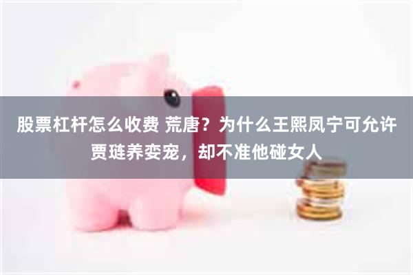 股票杠杆怎么收费 荒唐？为什么王熙凤宁可允许贾琏养娈宠，却不准他碰女人