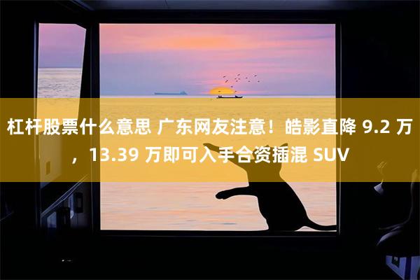 杠杆股票什么意思 广东网友注意！皓影直降 9.2 万，13.39 万即可入手合资插混 SUV