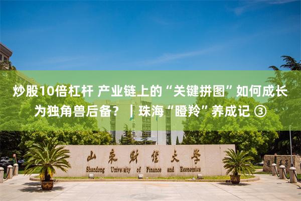 炒股10倍杠杆 产业链上的“关键拼图”如何成长为独角兽后备？｜珠海“瞪羚”养成记 ③
