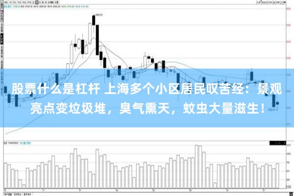 股票什么是杠杆 上海多个小区居民叹苦经：景观亮点变垃圾堆，臭气熏天，蚊虫大量滋生！