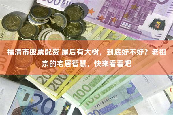 福清市股票配资 屋后有大树，到底好不好？老祖宗的宅居智慧，快来看看吧