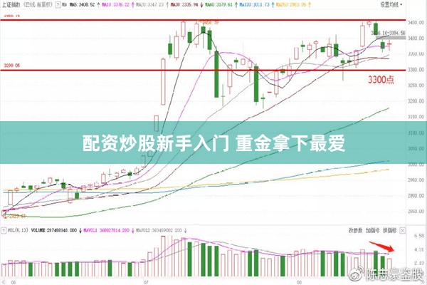 配资炒股新手入门 重金拿下最爱