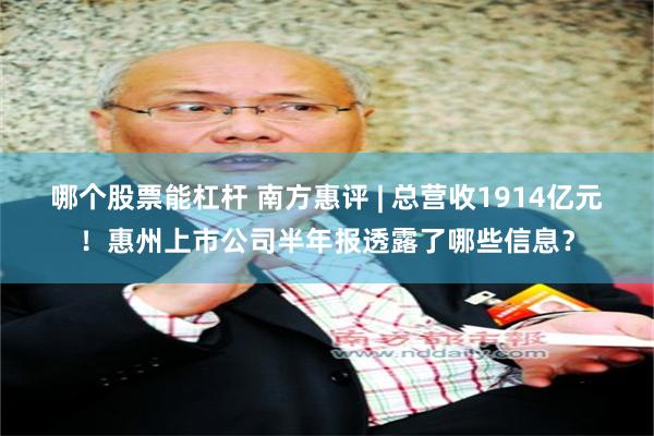 哪个股票能杠杆 南方惠评 | 总营收1914亿元！惠州上市公司半年报透露了哪些信息？