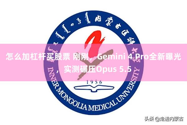 怎么加杠杆买股票 刚刚，Gemini 4 Pro全新曝光，实测碾压Opus 5.5