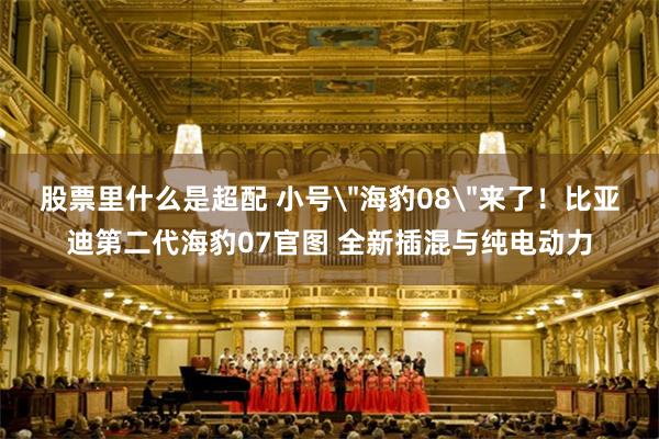 股票里什么是超配 小号