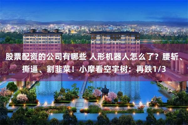 股票配资的公司有哪些 人形机器人怎么了？腰斩、撕逼、割韭菜！小摩看空宇树：再跌1/3
