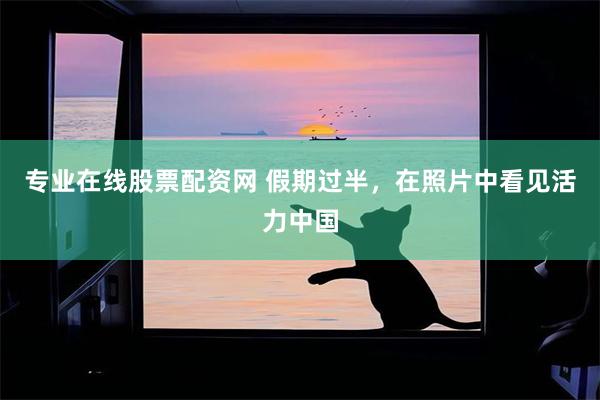 专业在线股票配资网 假期过半，在照片中看见活力中国