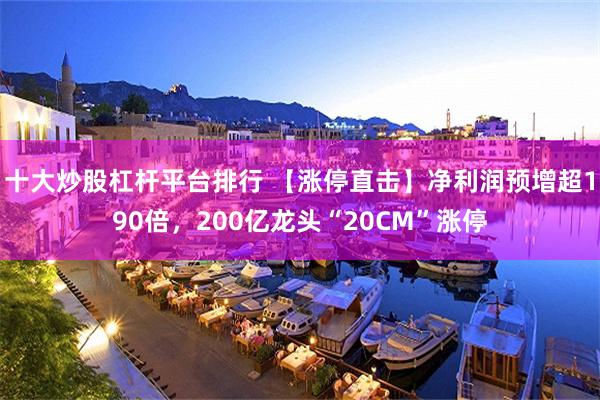十大炒股杠杆平台排行 【涨停直击】净利润预增超190倍，200亿龙头“20CM”涨停